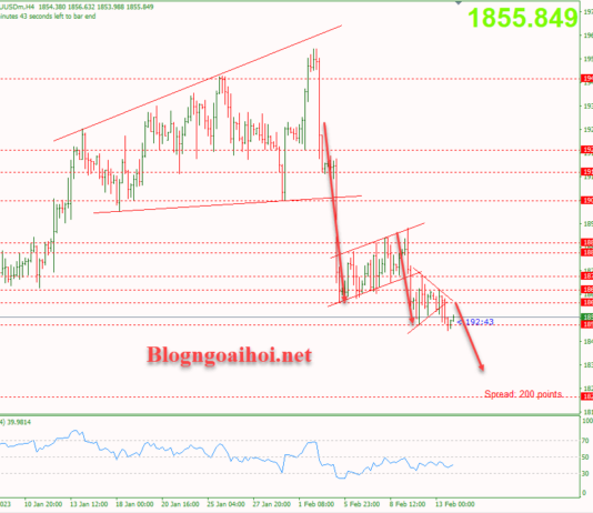 Phân tích Vàng 14/2-Dữ liệu lạm phát của Hoa Kỳ Vàng 14/2-Phá vỡ mô hình tam giác