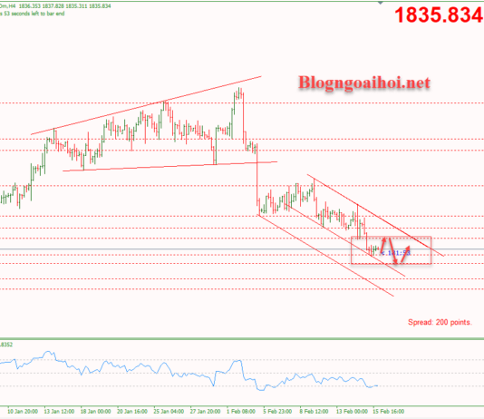 Phân tích Vàng 16/2-Chuyển hướng sang dữ liệu PPI Hoa Kỳ Vàng 16/2-Di chuyển trong kênh giá giảm