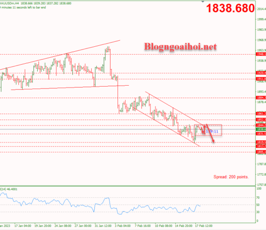 Phân tích Vàng 20/2- Di chuyển trong kênh giá giảm Vàng 20/2-Di chuyển trong kênh giá giảm