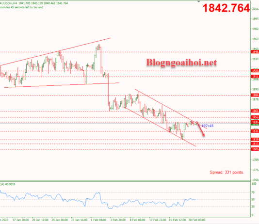 Phân tích Vàng 21/2-Dữ liệu Flash Services PMI Vàng 21/2-Kênh giá giảm