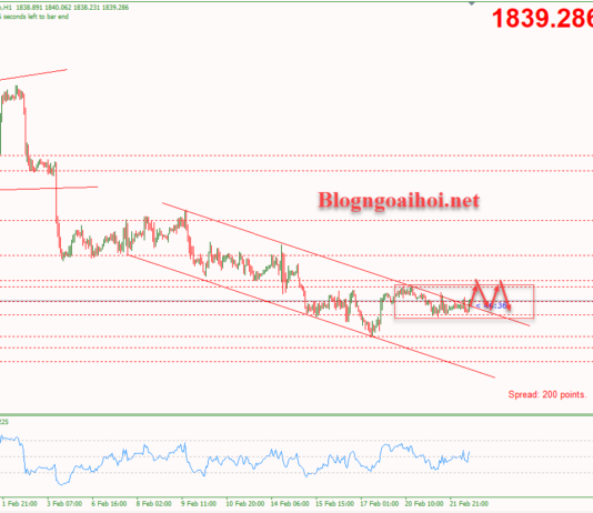 Phân tích Vàng 22/2-Biên bản cuộc họp của FOMC Vàng 22/2-Phá vỡ kênh giá giảm