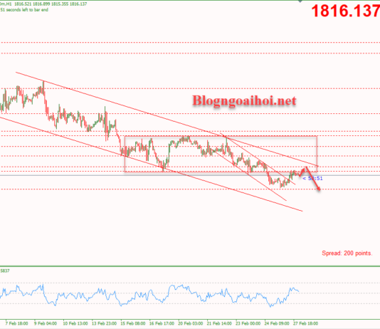 Phân tích Vàng 28/2-Chờ dữ liệu niềm tin người tiêu dùng Hoa Kỳ Vàng 28/2-Kênh giá giảm