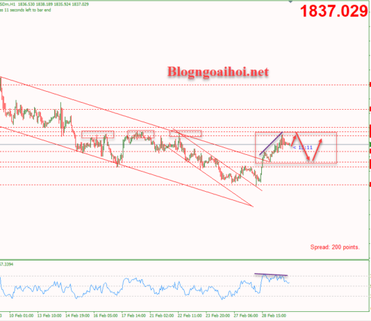 Phân tích Vàng 2/3-Vàng có thể quay đầu giảm Vàng 2/3-Vàng có thể quay đầu giảm