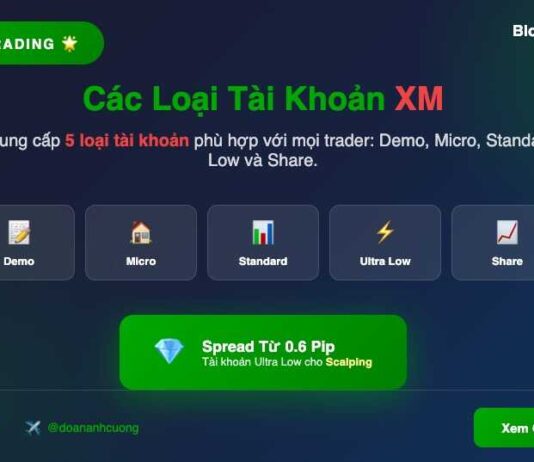 Giao dịch với XM- Các loại tài khoản sàn XM các loại tài khoản xm
