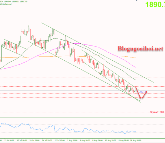 Phân tích Vàng 21/8-Vàng khó phục hồi Vàng 21/8-Di chuyển trong kênh giá giảm