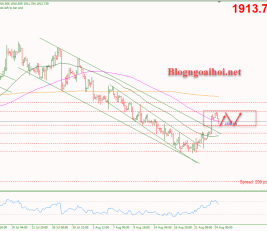 Phân tích Vàng 24/8- Vàng được hỗ trợ tăng Vàng 24/8 - tích lũy
