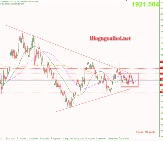 Phân tích Vàng 25/9- Vàng bước vào giai đoạn tích lũy mới Vàng 25/9- Vàng tích lũy