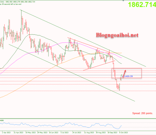 Phân tích Vàng 10/10-Căng thẳng địa chính trị hỗ trợ giá vàng Vàng 10/10-Vàng được hỗ trợ tăng