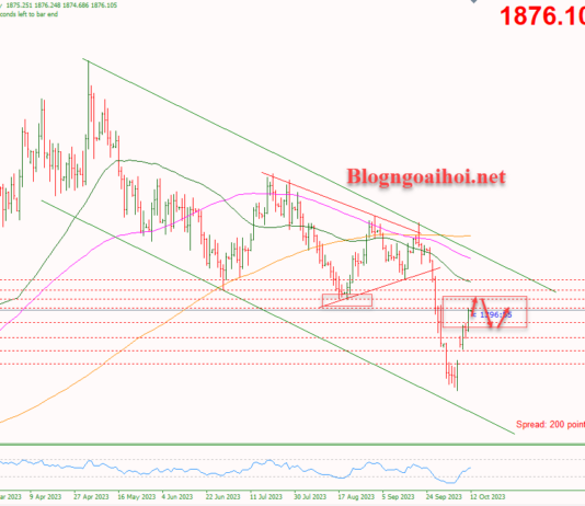 Phân tích Vàng 12/10- Tập trung vào dữ liệu CPI Hoa Kỳ Vàng 12/10-Hỗ trợ tăng tiếp