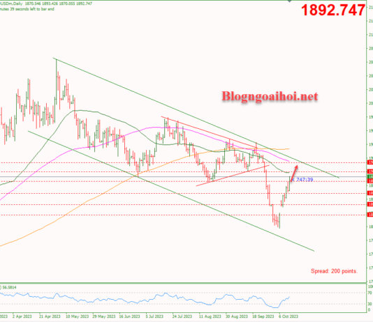 Phân tích Vàng 13/10- Kỳ vọng điều chỉnh giảm sau báo cáo lạm phát Vàng 13/10 - Hỗ trợ tăng
