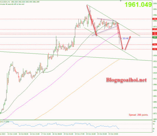 Phân tích Vàng 24/10- Theo dõi dữ liệu PMI Hoa Kỳ Vàng 24/10- Kênh giá giảm