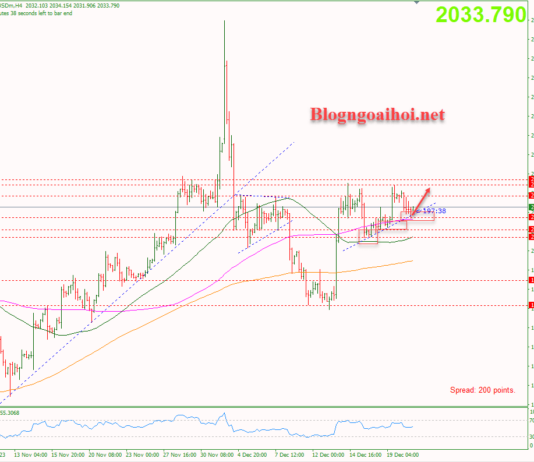 Phân tích Vàng 21/12- Nhiều dữ liệu kinh tế quan trọng sắp công bố Vàng 21/12-Trendline hỗ trợ tăng