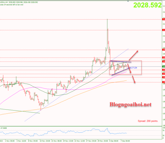 Phân tích Vàng 8/12- Tập trung vào bảng lương Nonfarm Vàng 8/12-Vàng tích lũy
