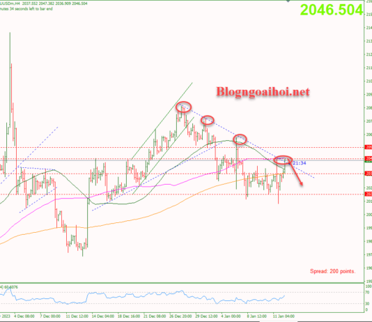 Phân tích Vàng 12/1- Tập trung vào dữ liệu PPI Hoa Kỳ Vàng 12/1- Kháng cự trendline giảm