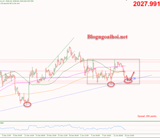 Phân tích Vàng 17/1-Tập trung vào dữ liệu bán lẻ Hoa Kỳ Vàng 17/1-Trendline hỗ trợ tăng