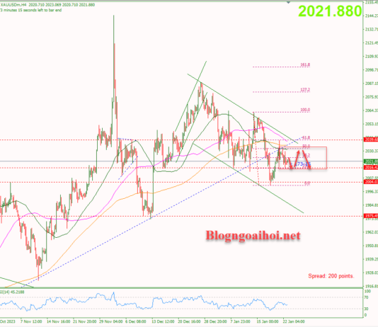 Phân tích Vàng 23/1- Vàng đi ngang tích lũy Vàng 23/1-Vàng đi ngang tích lũy