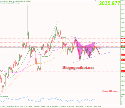 Phân tích Vàng 31/1-Chuẩn bị cho sự kiện FOMC Vàng 31/1-Tín hiệu False break