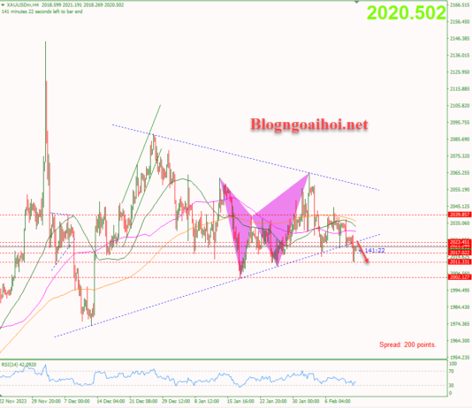 Phân tích Vàng 13/2-Tập trung vào dữ liệu CPI Hoa Kỳ Vàng 13/2-Phá vỡ mô hình tam giác