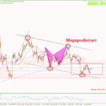 Phân tích Vàng 16/2-Chờ dữ liệu PPI Hoa Kỳ Vàng 16/2-Vàng phục hồi