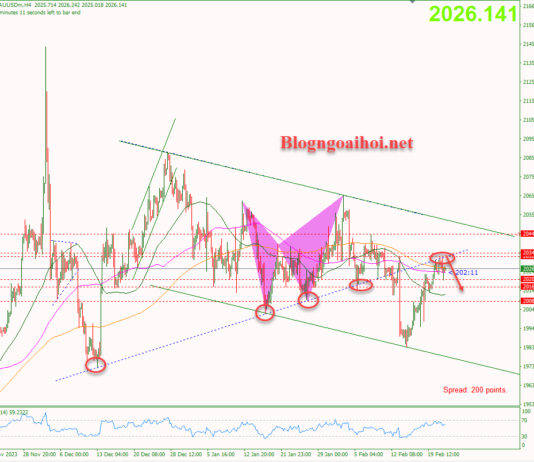 Phân tích Vàng 22/2- Chuyển sự chú ý sang dữ liệu PMI Vàng 22/2-Kiểm tra trendline bị gãy
