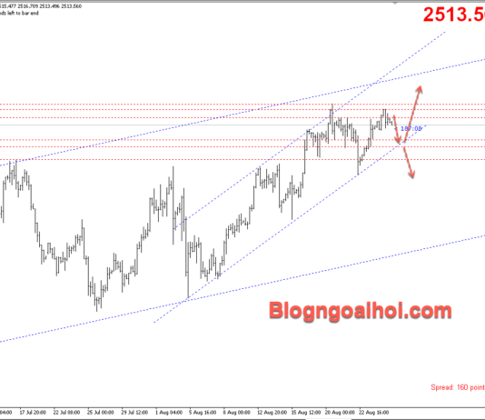 Phân tích Vàng 27/8-Dữ liệu niềm tin người tiêu dùng Vàng 27/8-Hỗ trợ kênh giá tăng