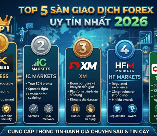 Top 5 sàn giao dịch Forex uy tín nhất 2026 Top 5 sàn giao dịch forex uy tín