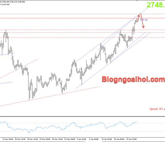 Phân tích Vàng 22/1- Tập trung vào các chính sách của Trump Vàng 22/1- kênh giá tăng