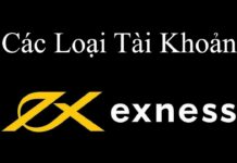 So Sánh Các Loại Tài Khoản Exness: Đâu Là Sự Lựa Chọn Tối Ưu? So Sánh Các Loại Tài Khoản Exness