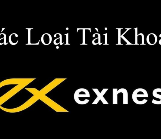 So Sánh Các Loại Tài Khoản Exness: Đâu Là Sự Lựa Chọn Tối Ưu? So Sánh Các Loại Tài Khoản Exness