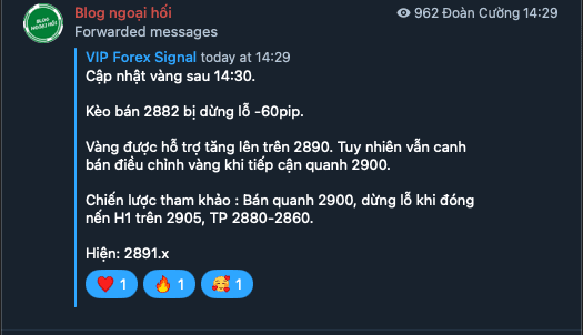 telegram-vang-10-2-3