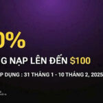 Giao dịch cùng HFM- Thưởng Nạp 100% Thưởng nạp 100%