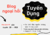 TUYỂN CỘNG TÁC VIÊN – IB FOREX TOÀN QUỐC Tuyển cộng tác viên- IB forex toàn quốc