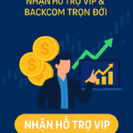 Nhận Hỗ Trợ VIP và Backcom Trọn Đời từ Blog ngoại hối Nhận hỗ trợ VIP và backcom trọn đời
