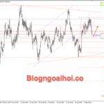 Phân tích Vàng 11/8-Vàng di chuyển tích luỹ Vàng 11/8- hỗ trợ fib 50
