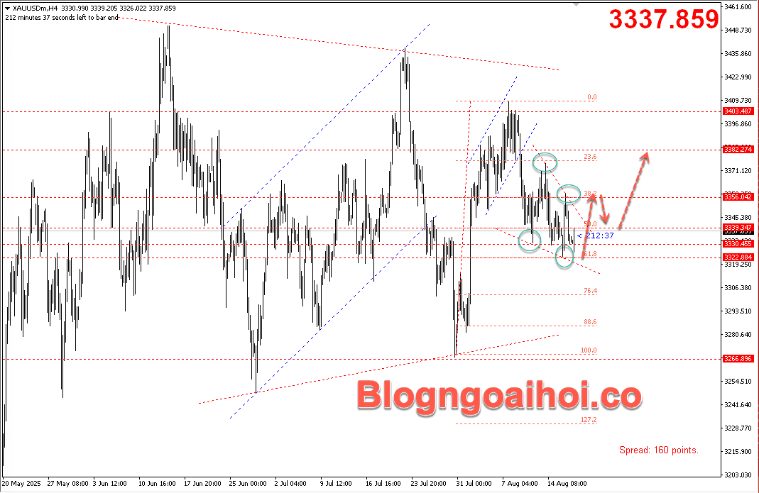 Vàng 19/8- Mô hình nêm giảm