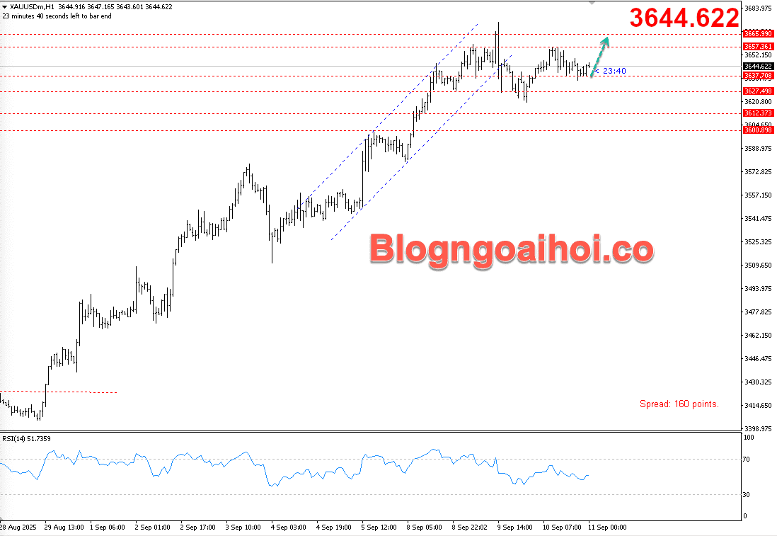 Vàng 11/9- Hỗ trợ tăng
