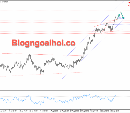Phân tích Vàng 23/9-Dữ liệu PMI và chủ tịch FED phát biểu Vàng 23/9- Kênh giá tăng