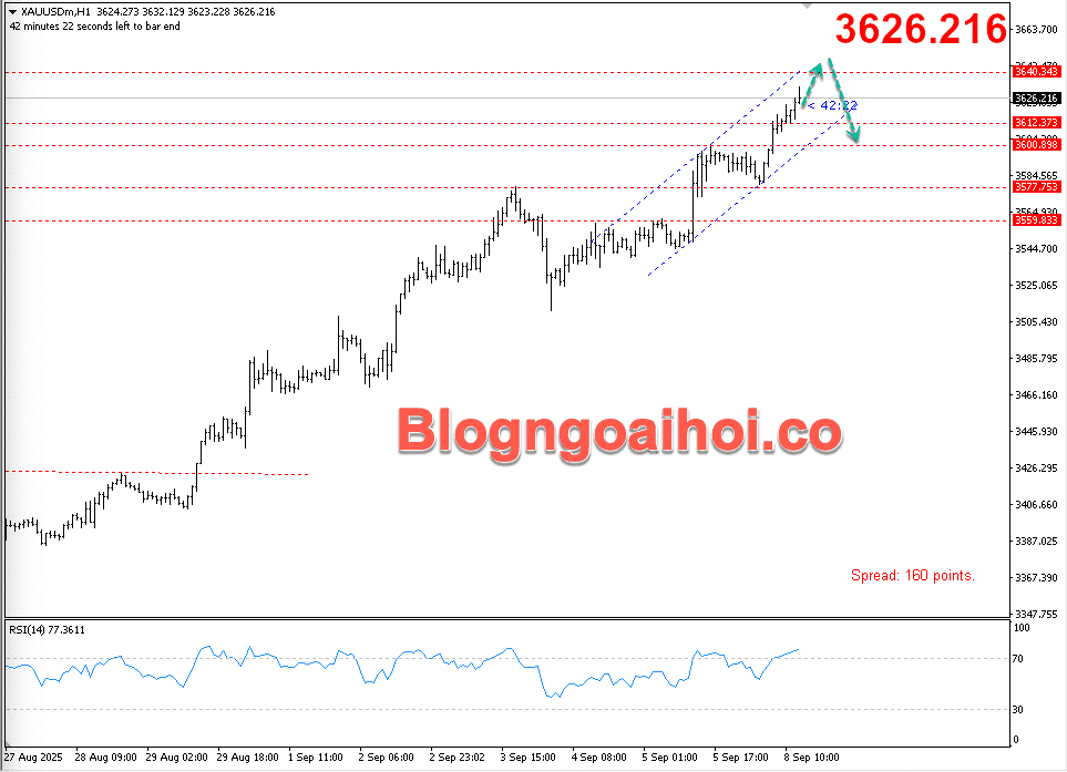 vang-8-9-kenh-gia-tang