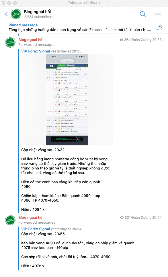 telegram-vang-20-11