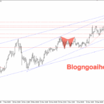 Phân tích Vàng 19/12- Vàng suy giảm sau khi test vùng đỉnh cũ Vàng 19/12- Vàng tạo tín hiệu false break