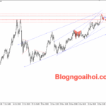 Phân tích Vàng 22/12- Vàng giao dịch gần đỉnh mọi thời đại Vàng 22/12- vàng phá đỉnh