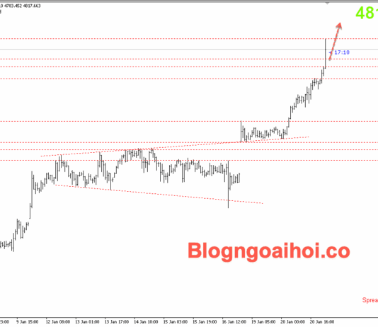 Phân tích Vàng 21/1- Chú ý bài phát biểu của Trump Vàng 21/1- Vàng tăng mạnh