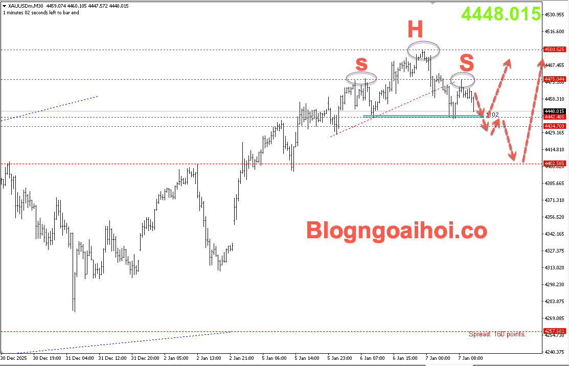 vang-7-1-vai-dau-vai