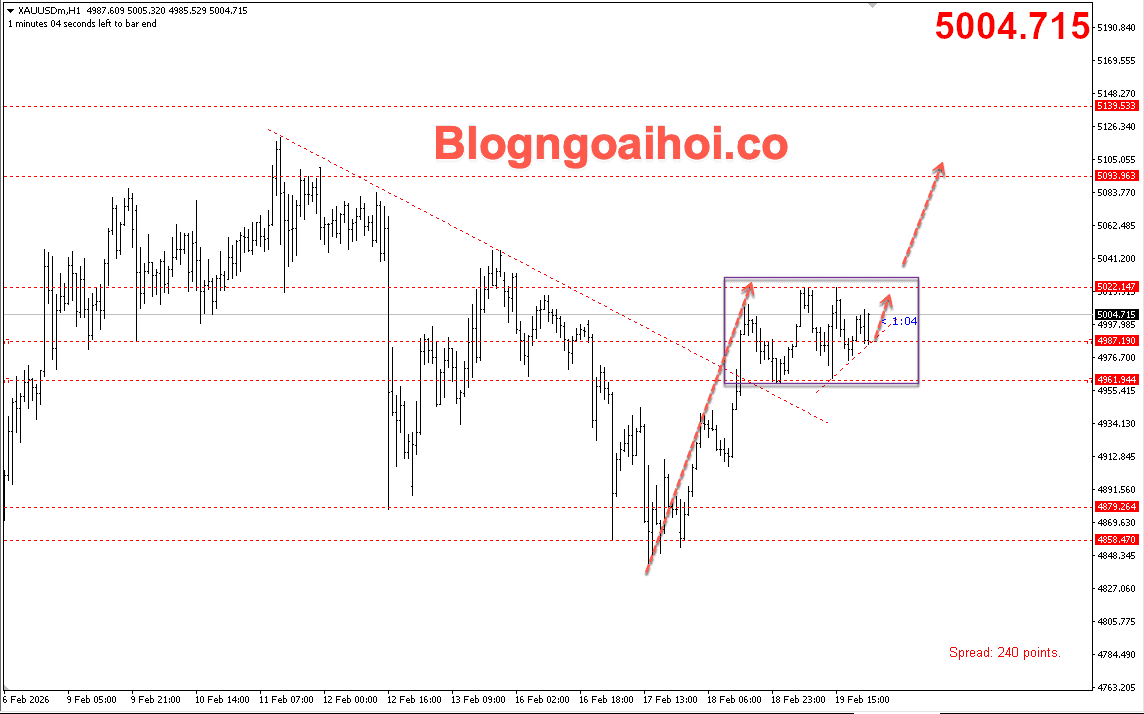 vang-20-2-ky-vong-tang