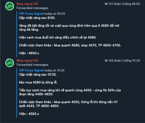 telegram-vang-31-3