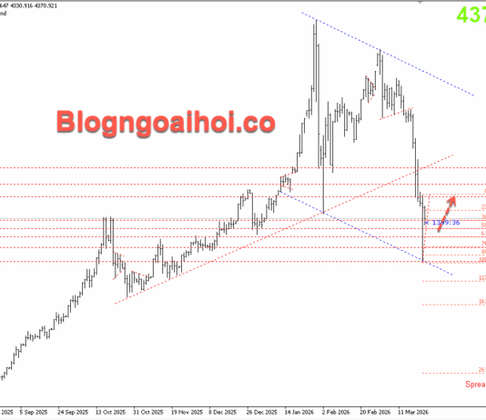 Phân tích Vàng 24/3- Vàng tăng khi Trump trì hoãn các cuộc tấn công vào Iran Vàng 24/3- Vàng tăng