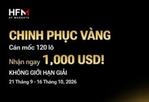 THỢ SĂN VÀNG: THƯỞNG 1000$ TỪ HFM Thợ săn vàng HFM